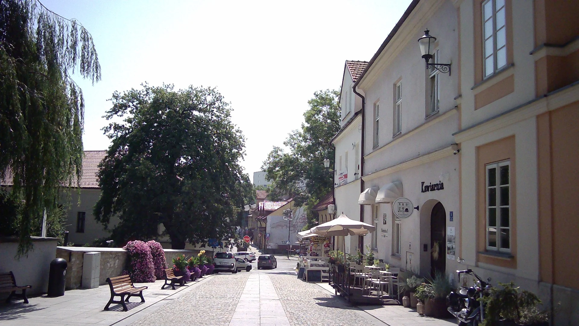 miniatura zdjęcia