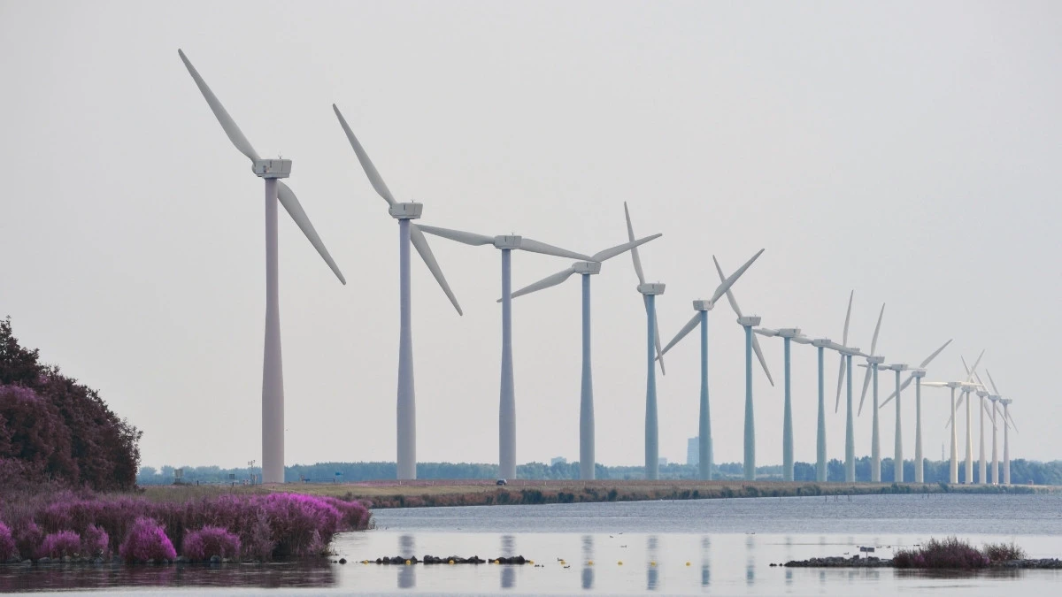 Wielkie farmy wiatrowe zmienią opady nad wybrzeżem