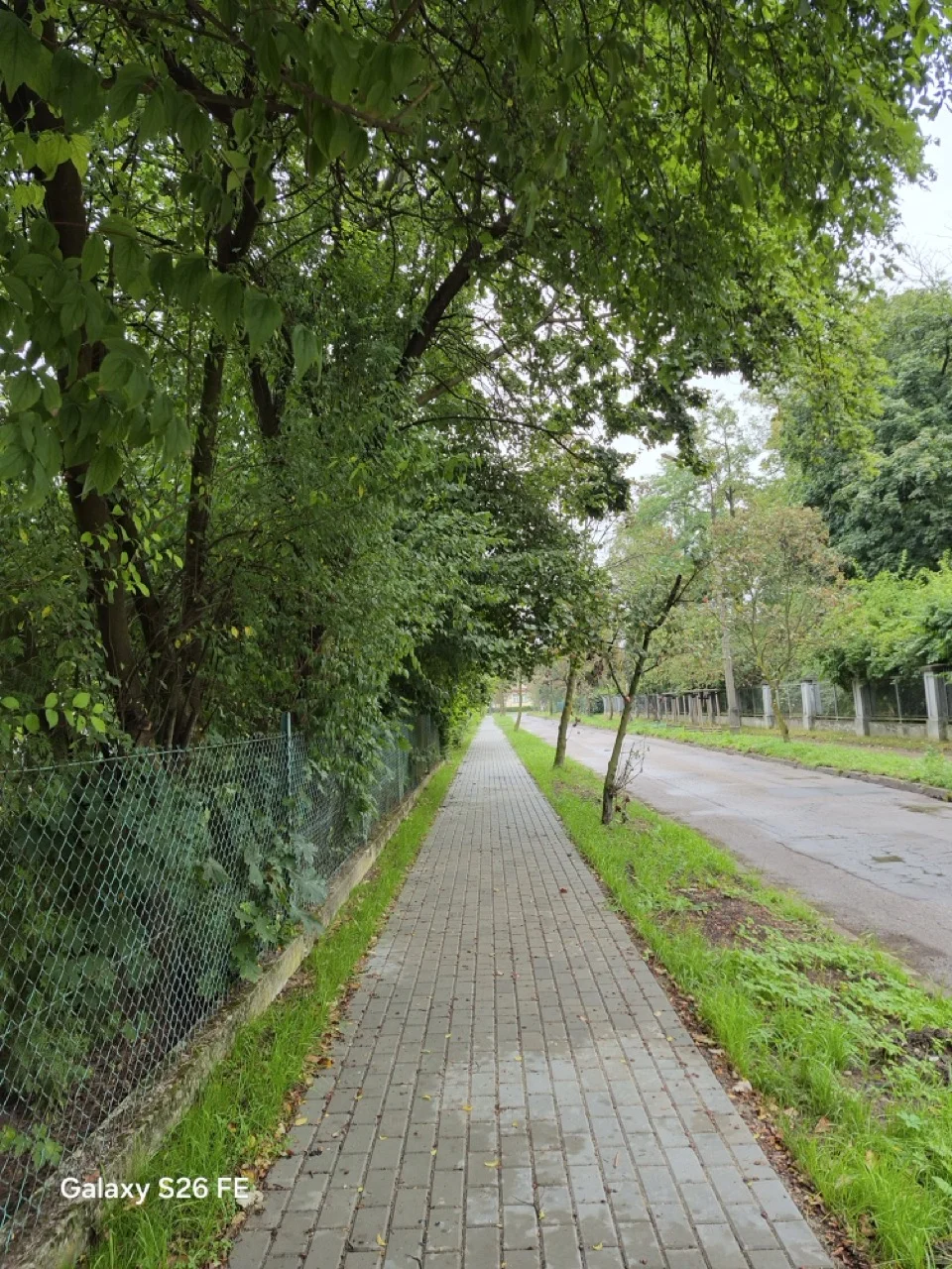 miniatura zdjęcia
