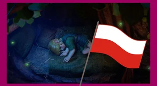 Zelda po polsku