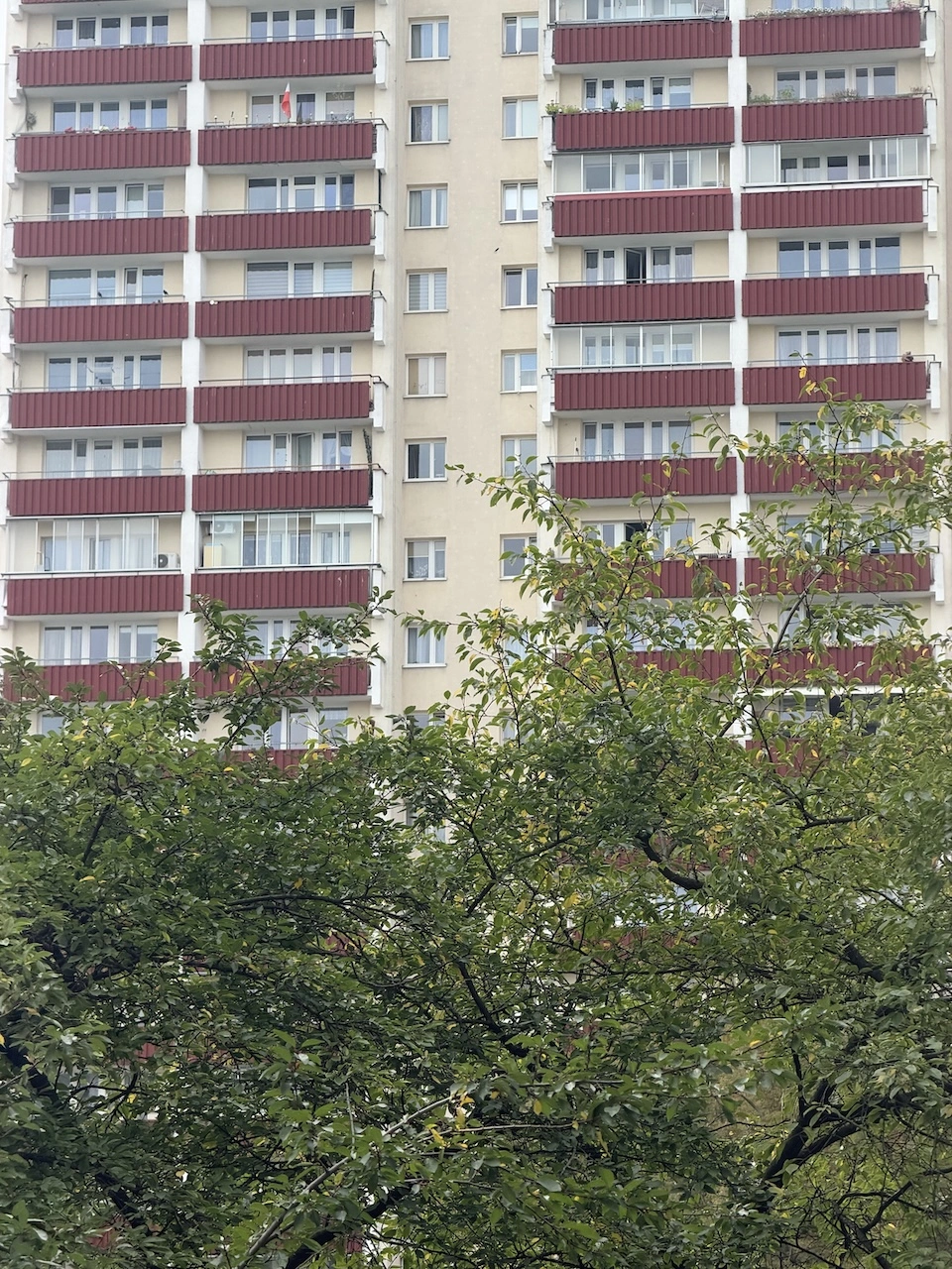 miniatura zdjęcia