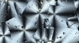 NASA chce plastiku na Księżycu. Wyprodukują go bakterie