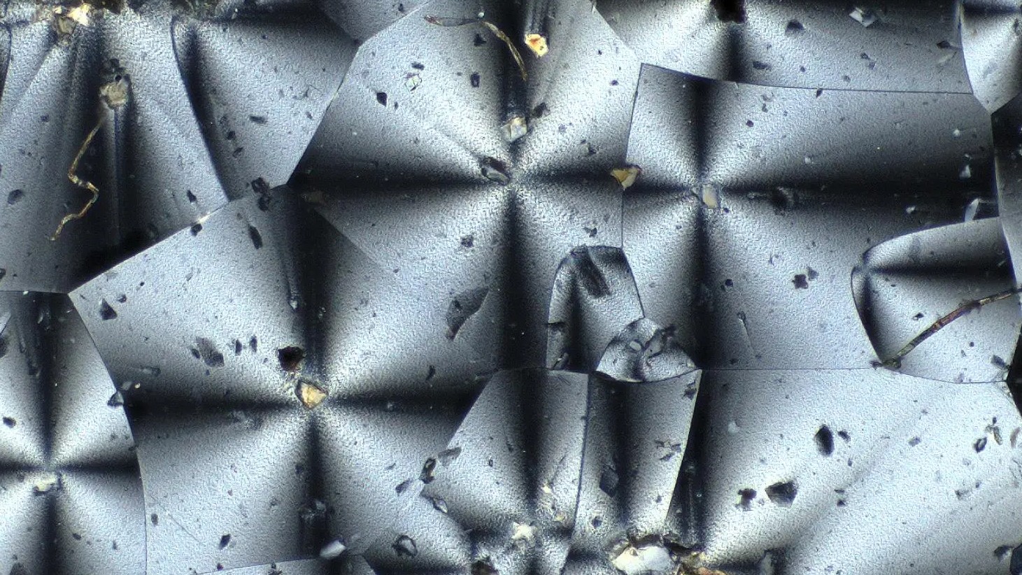 NASA chce plastiku na Księżycu. Wyprodukują go bakterie