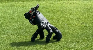 Oderwana od reszty robota dłoń, która sama chodzi, omija przeszkody, naciska klawisze i podnosi się po upadku. To nie nowy horror, ale niezwykły wynalazek, który zaskakuje pomysłowością i możliwościami.