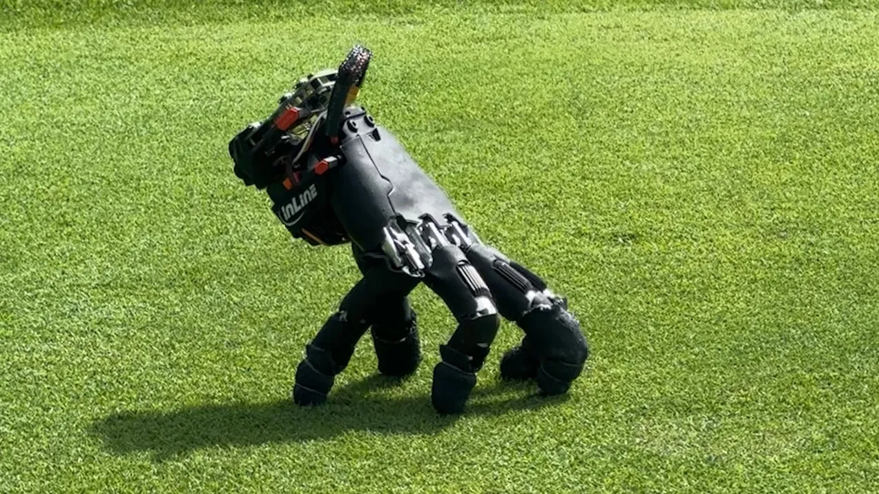 Rączka z "Rodziny Adamsów" ożyła. Robot - dłoń jest paskudny, ale potrafi mnóstwo
