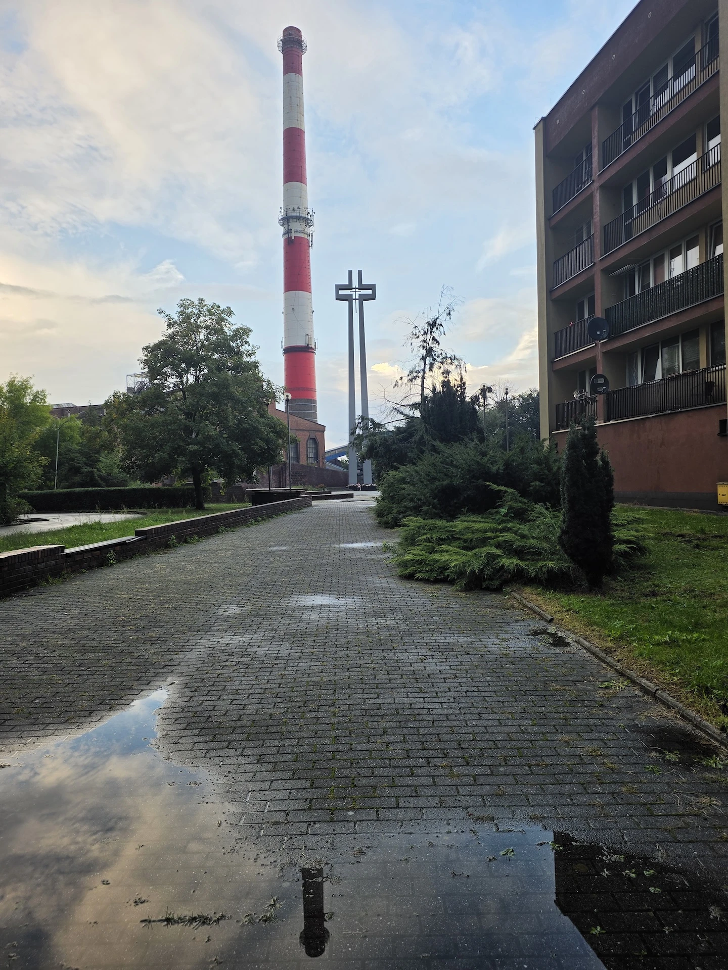 miniatura zdjęcia