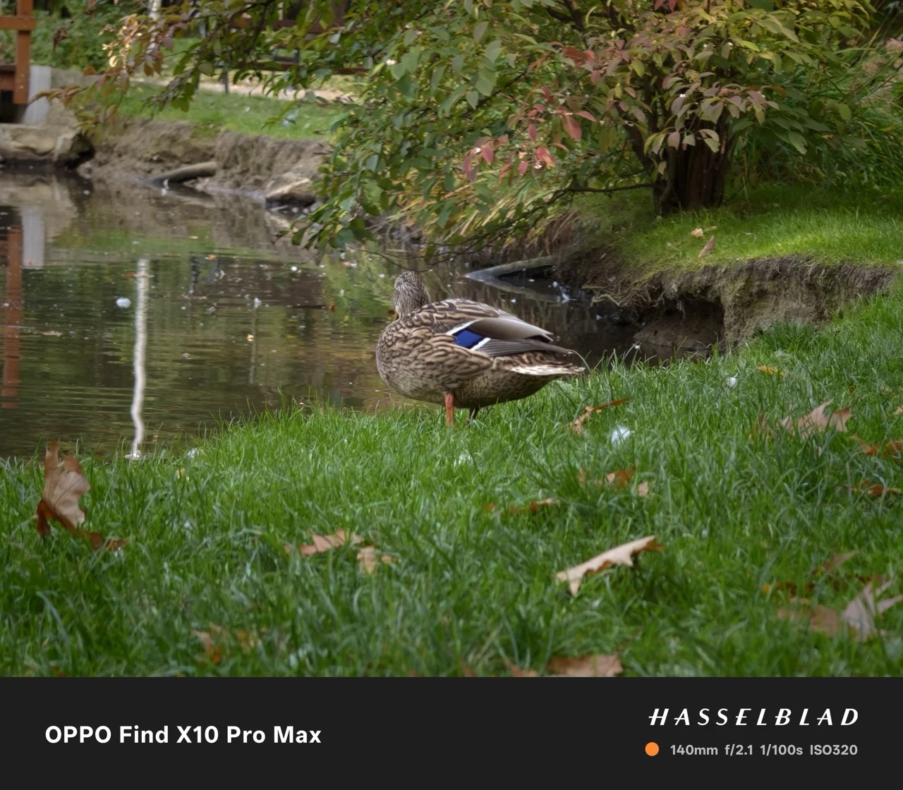 https://cdn-sw.spidersweb.pl/2026/10/oppo-find-x10-pro-max-zdjecia-72.jpeg