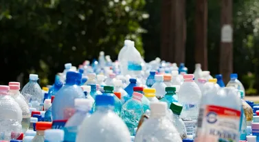 Urząd wyrzuci butelkę i zaczynają się schody. Kaucja to przecież publiczne pieniądze